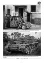 Panzer Sicherungs-Kompanien and<br>Panzer-Abteilung 208 - I. / Panzer-Regiment Feldherrnhalle